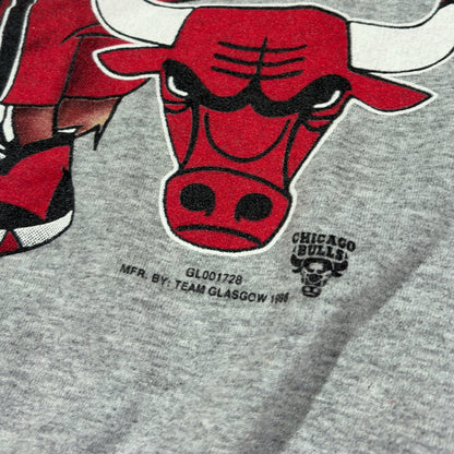 NBA | LOONEY TUNES  X CHICAGO BULLS 1990s TAZ YOUTH SWEATSHIRT (XS)