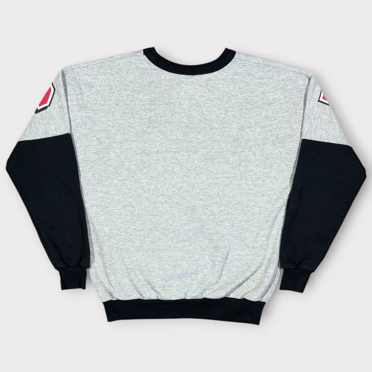 NBA | LOONEY TUNES  X CHICAGO BULLS 1990s TAZ YOUTH SWEATSHIRT (XS)