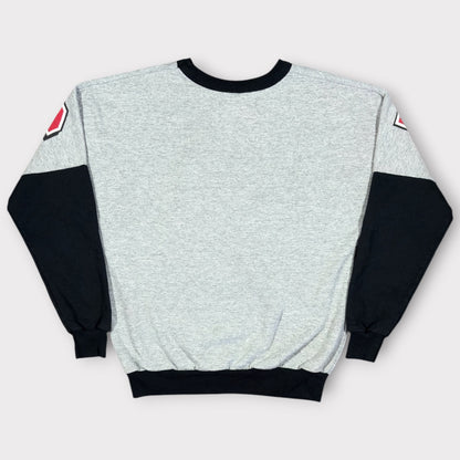 NBA | LOONEY TUNES  X CHICAGO BULLS 1990s TAZ YOUTH SWEATSHIRT (XS)