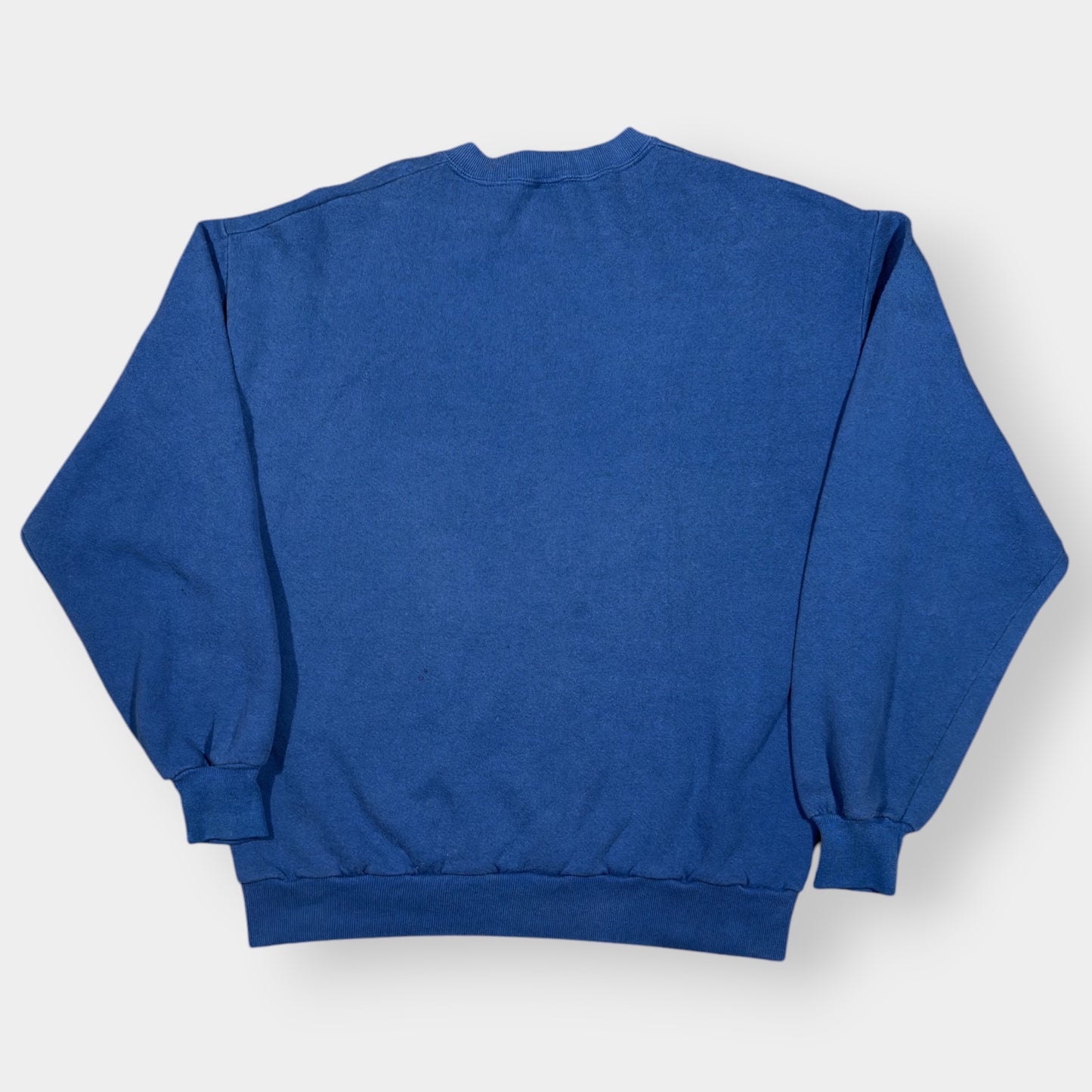 LOONEY TUNES | 1990s MOUND PARK BLUE GRAPHIC SWEATSHIRT (L)