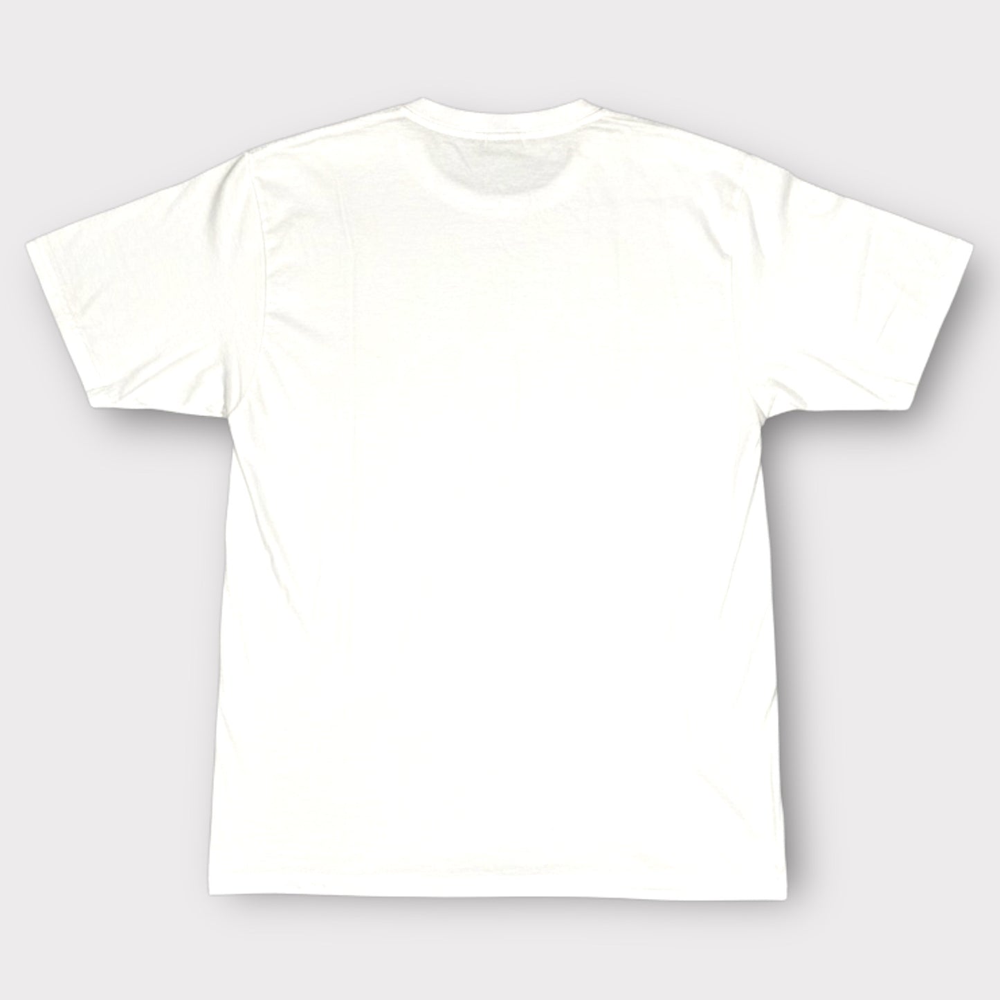 GHOSTBUSTERS | 2019 STAY PUFT GRAPHIC TEE (S)