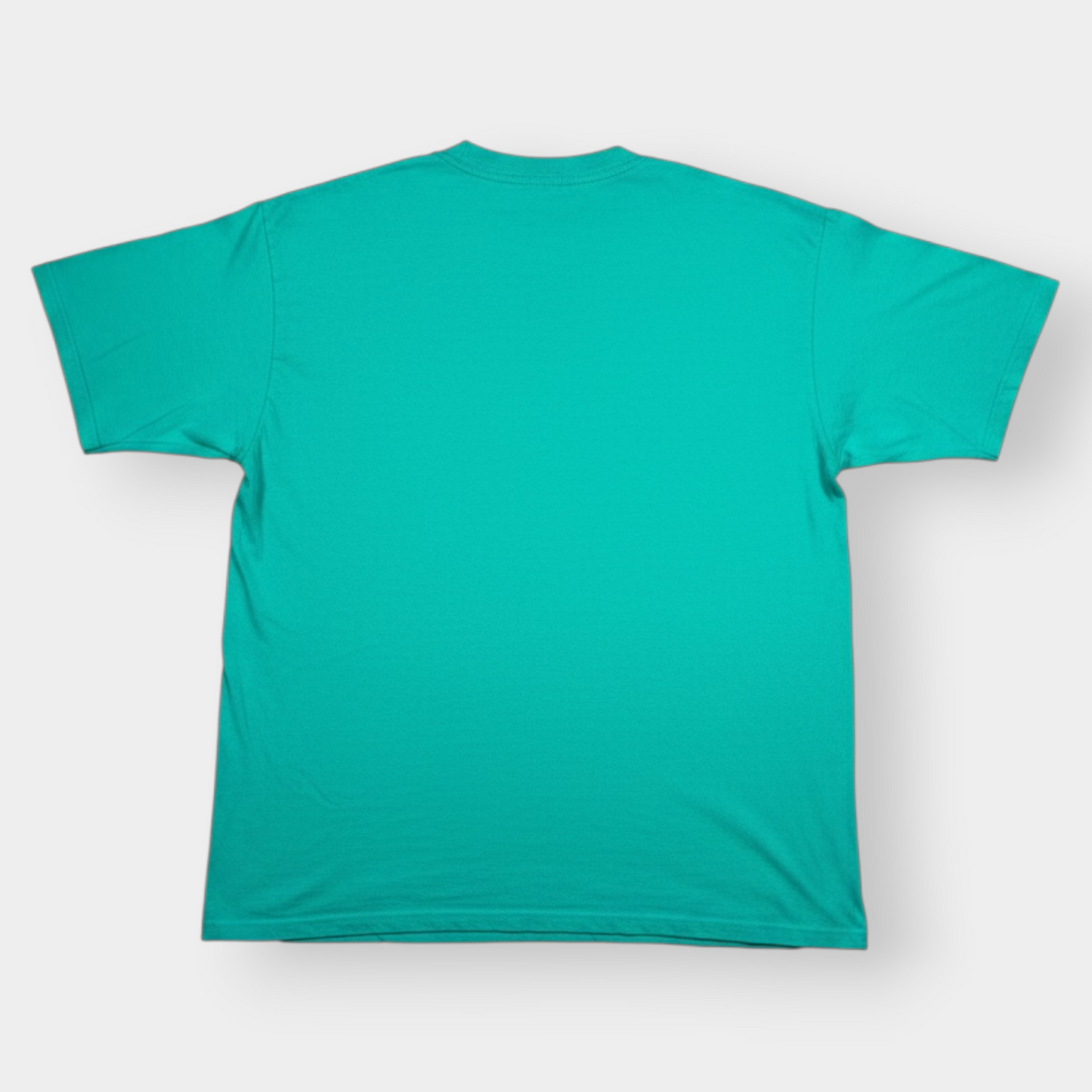 AMERICAN VINTAGE | 1983 VINTAGE ONEITA SINGLE STITCH BUFFALO GRAPHIC TEE (XL)