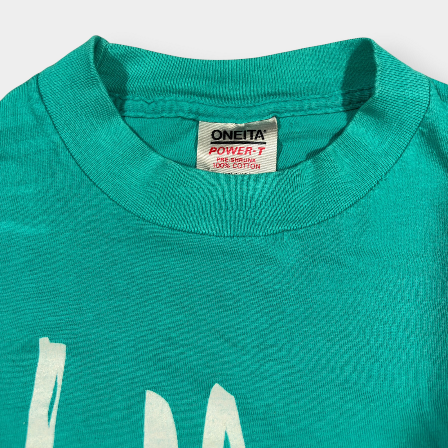 AMERICAN VINTAGE | 1983 VINTAGE ONEITA SINGLE STITCH BUFFALO GRAPHIC TEE (XL)