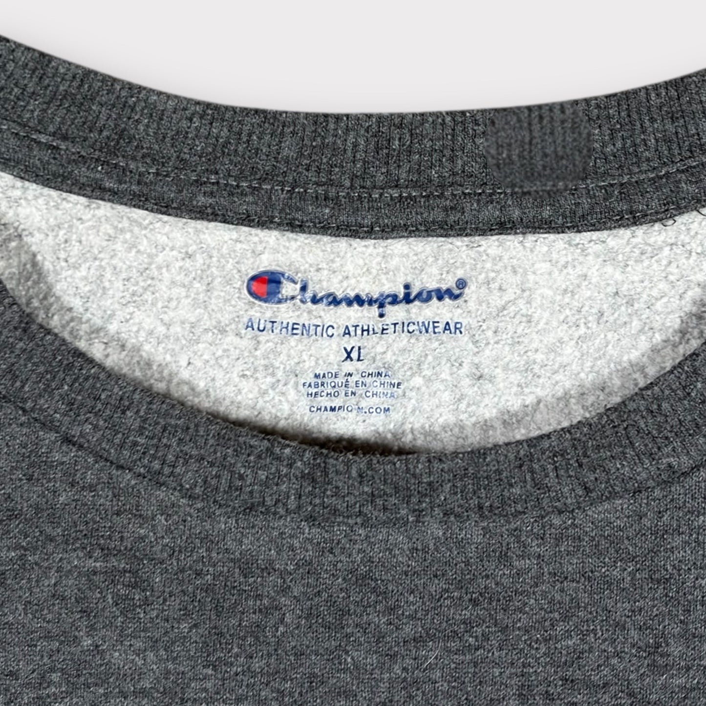 CHAMPION EMBROIDERED SPELLOUT SWEATSHIRT (XL)