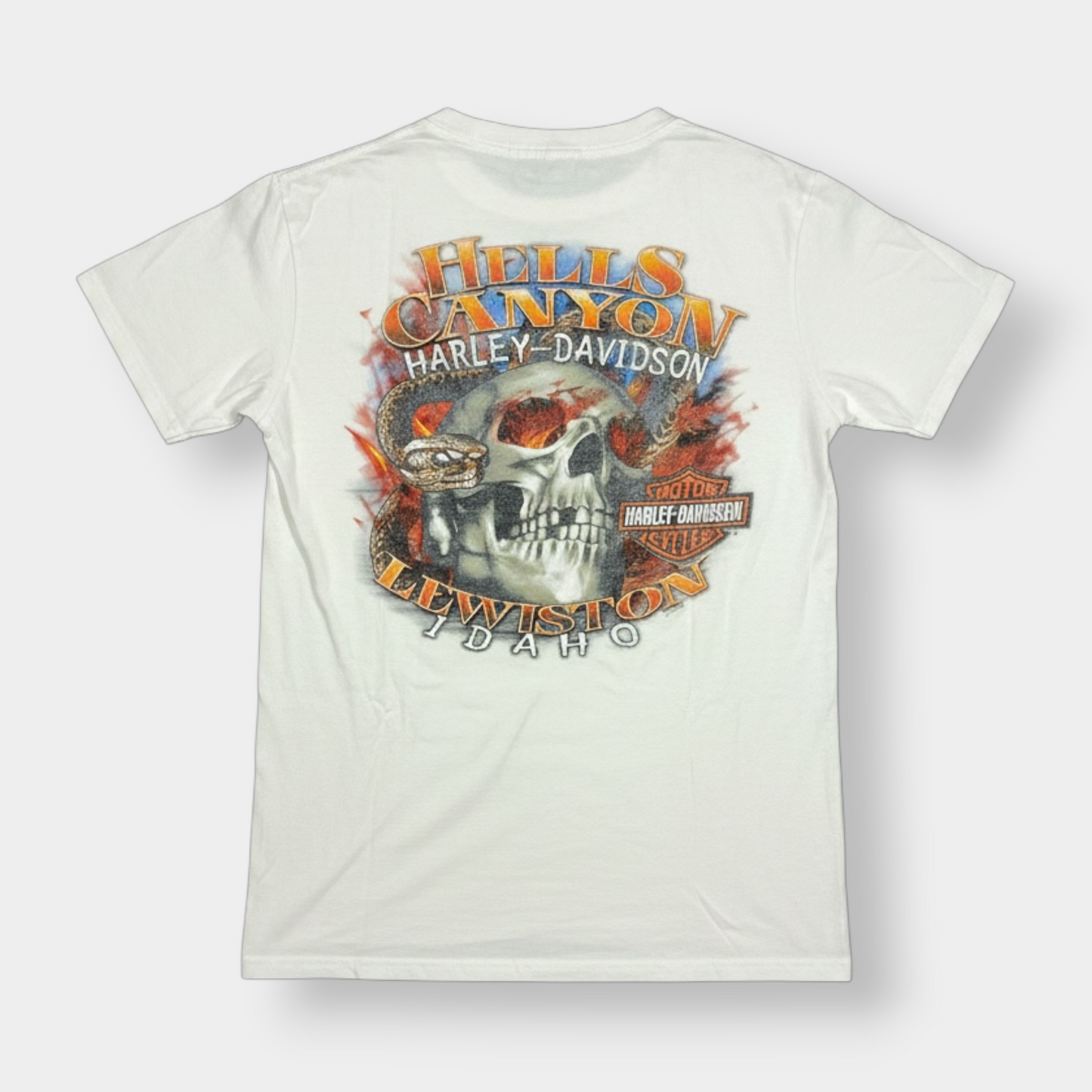 HARLEY DAVIDSON | 2013 WHITE HELL'S CANYON GRAPHIC TEE (S)