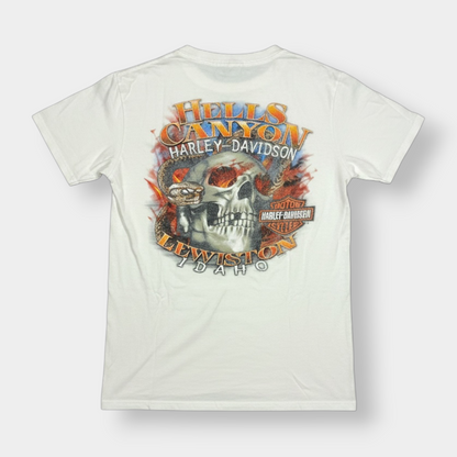 HARLEY DAVIDSON | 2013 WHITE HELL'S CANYON GRAPHIC TEE (S)