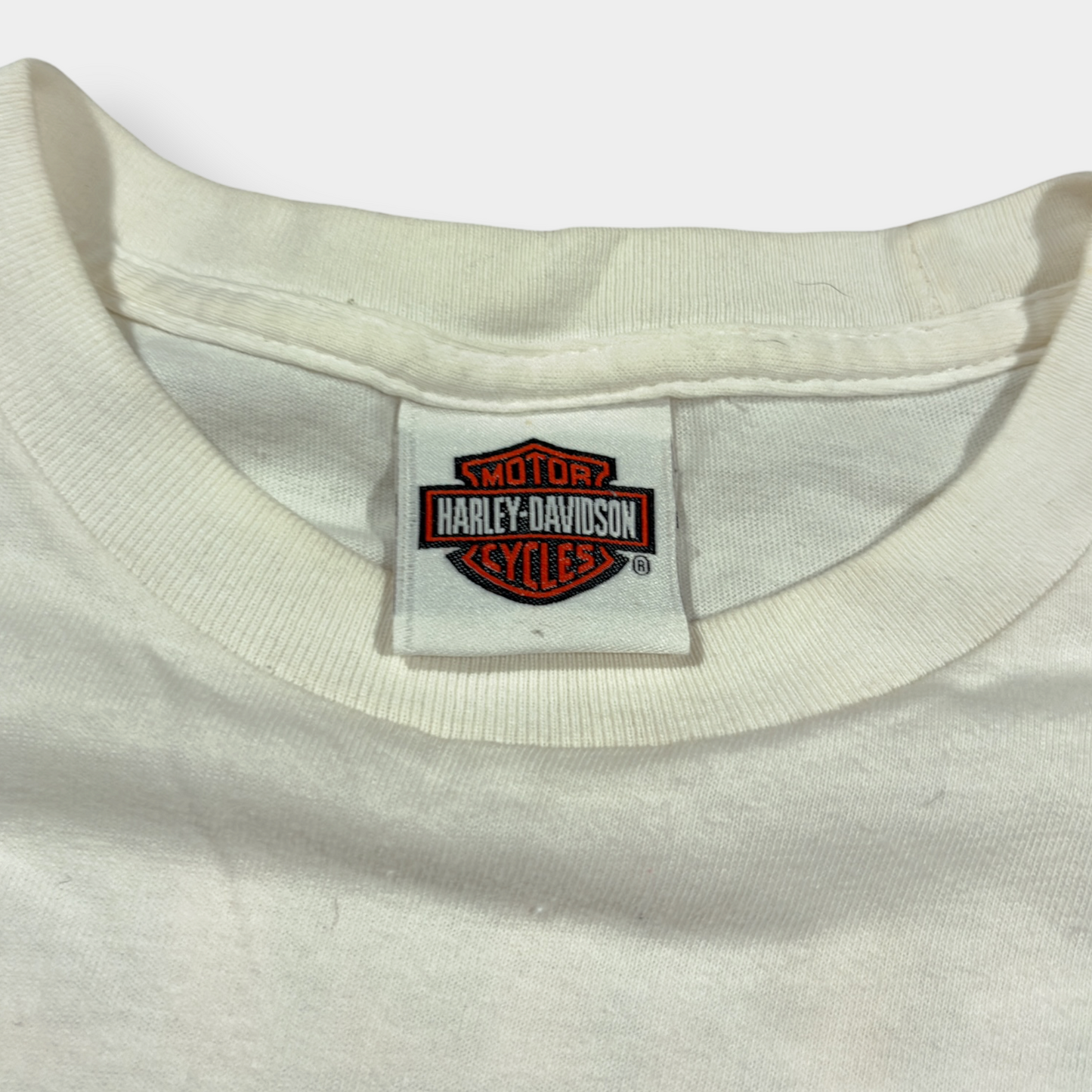 HARLEY DAVIDSON | 2013 WHITE HELL'S CANYON GRAPHIC TEE (S)