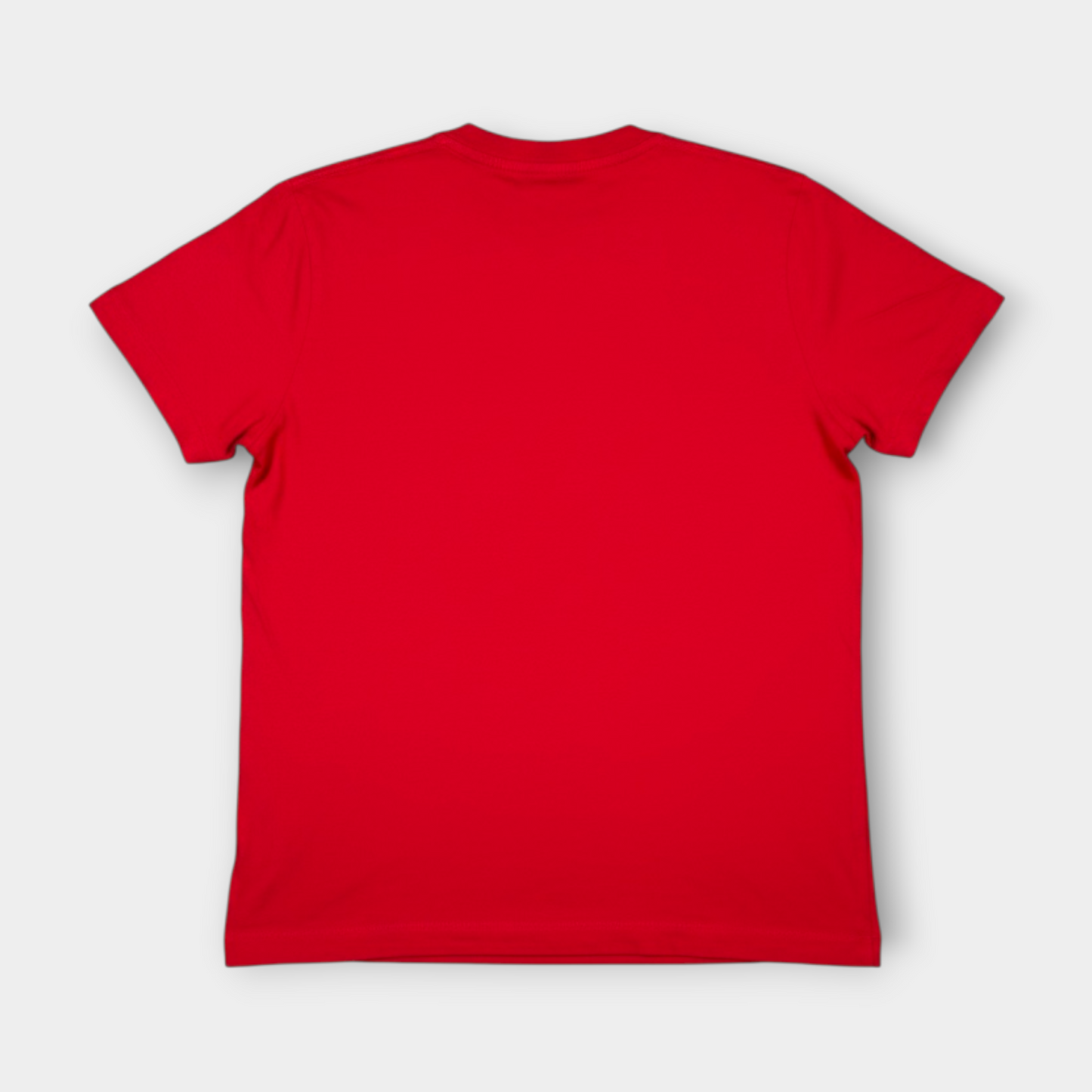 NAPAPIJRI | RED SPELLOUT LOGO TEE (L)
