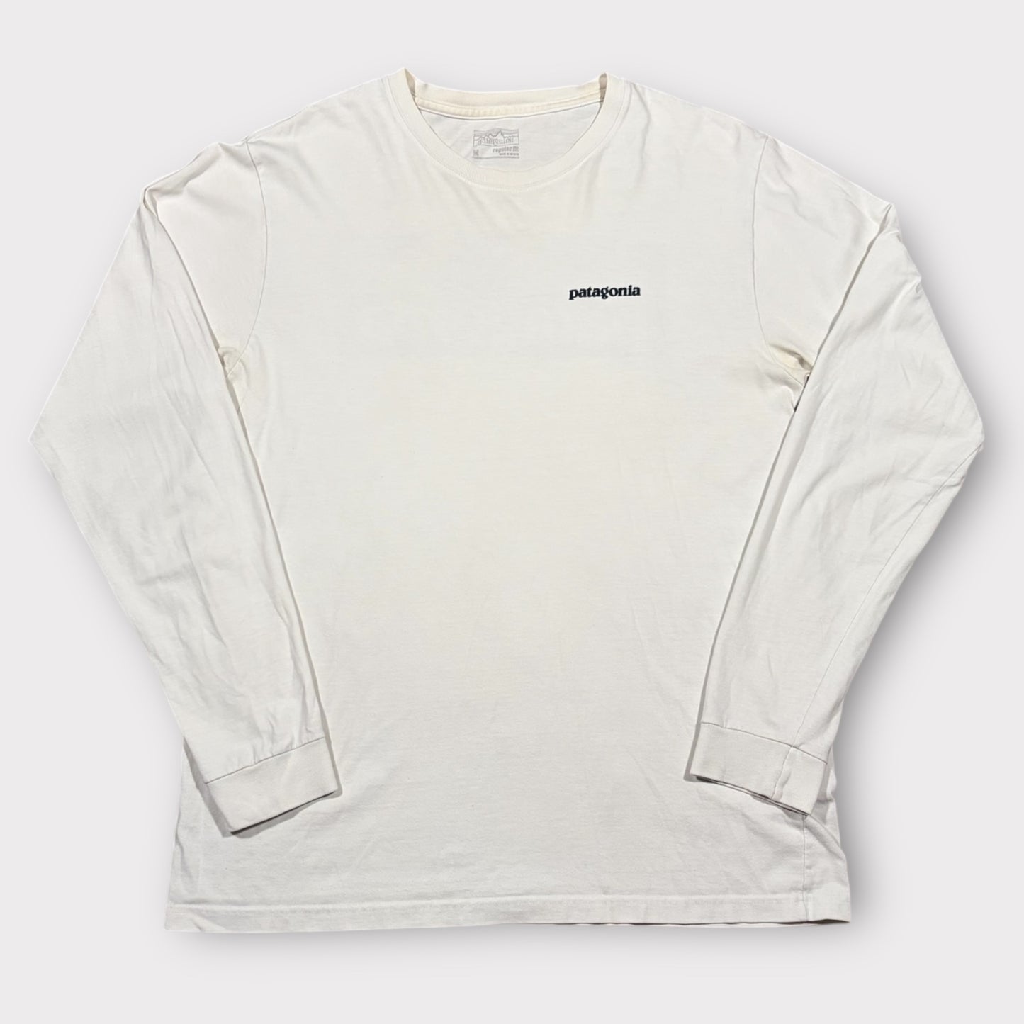 PATAGONIA LONG SLEEVE GRAPHIC TEE (M)