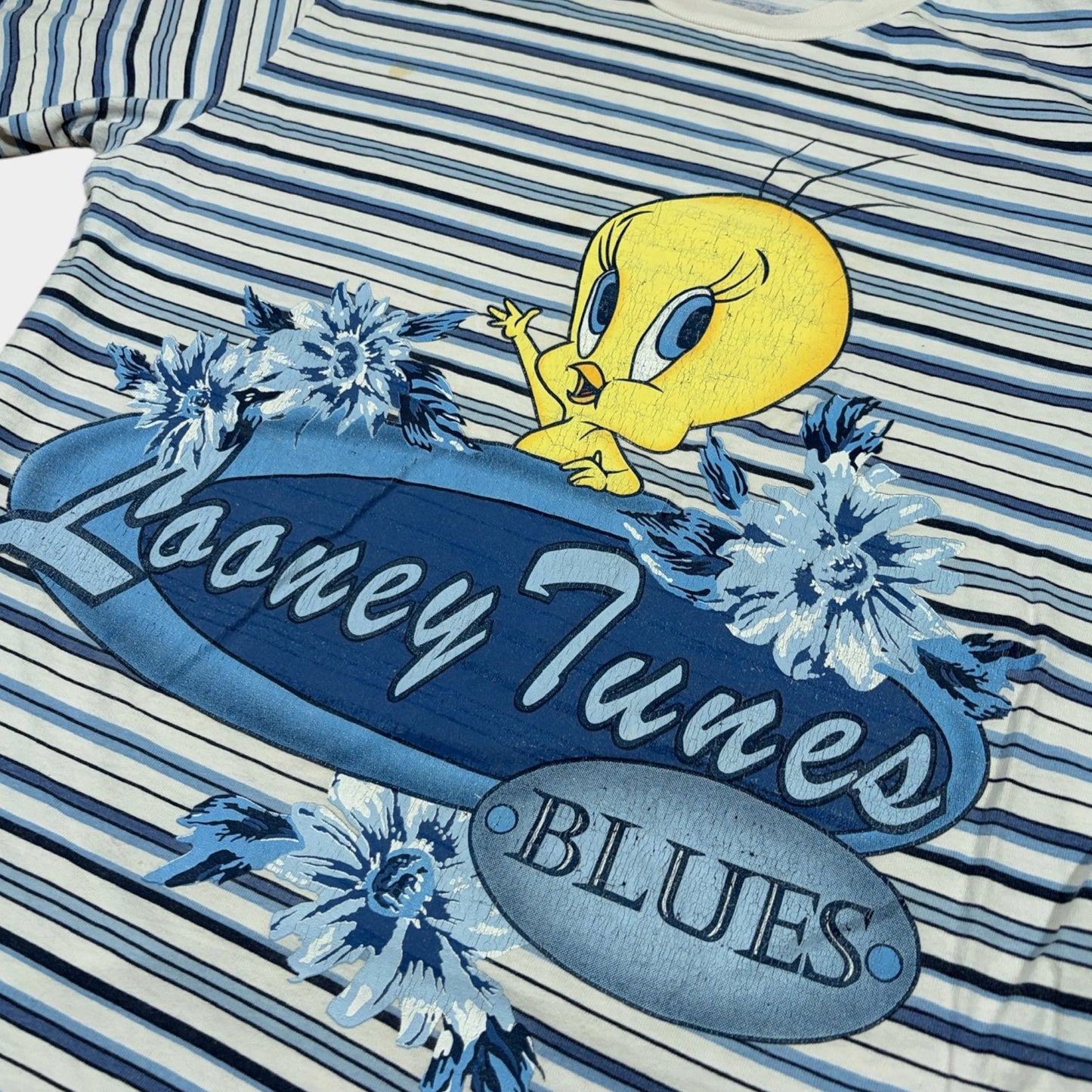 LOONEY TUNES | 1995 TWEETY PIE GRAPHIC STRIPE TEE (XXL)