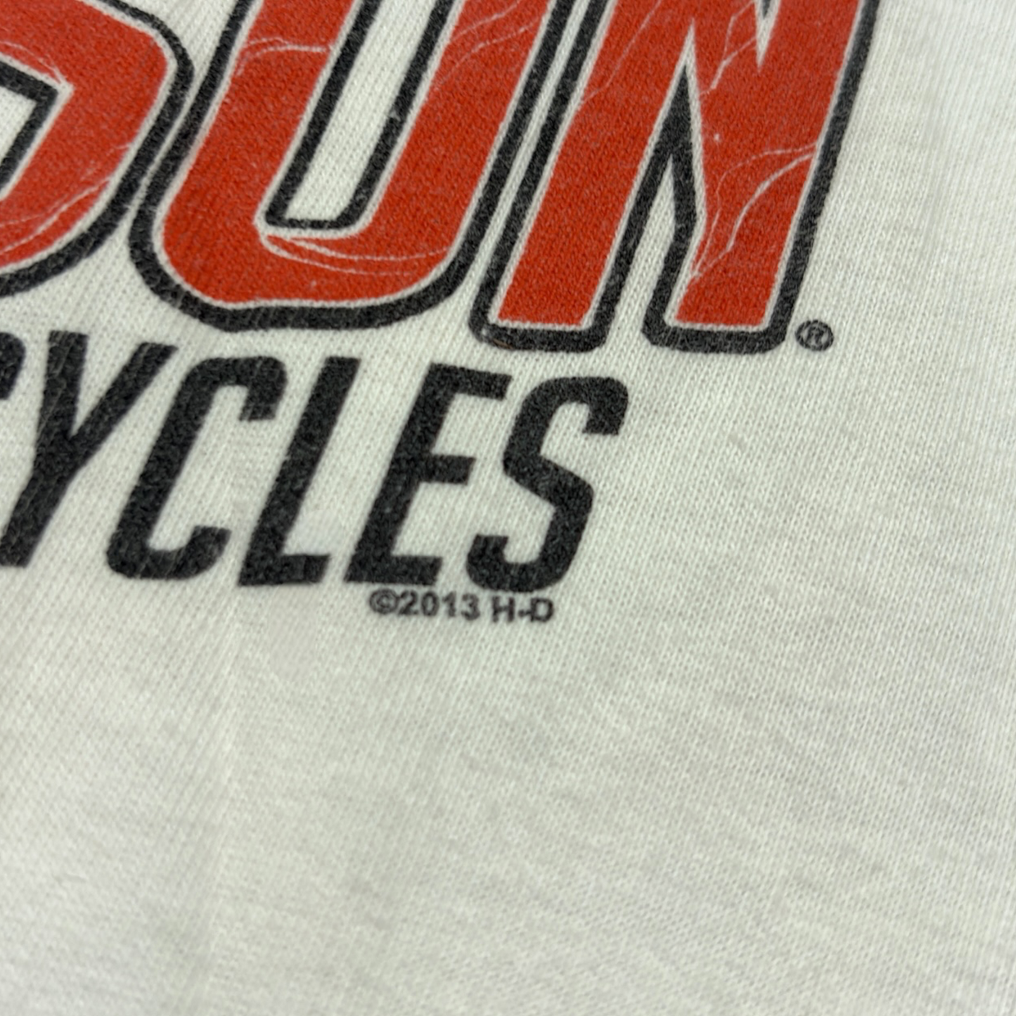 HARLEY DAVIDSON | 2013 WHITE HELL'S CANYON GRAPHIC TEE (S)