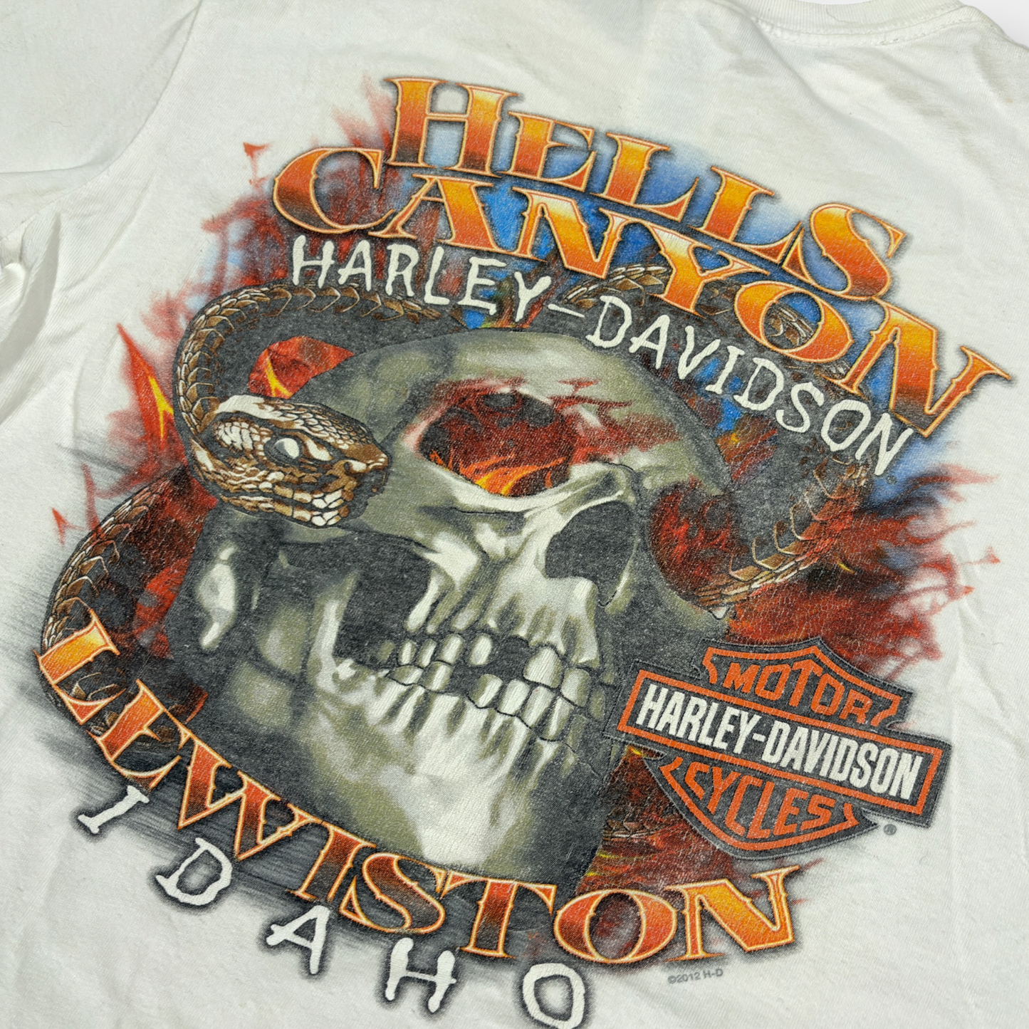 HARLEY DAVIDSON | 2013 WHITE HELL'S CANYON GRAPHIC TEE (S)