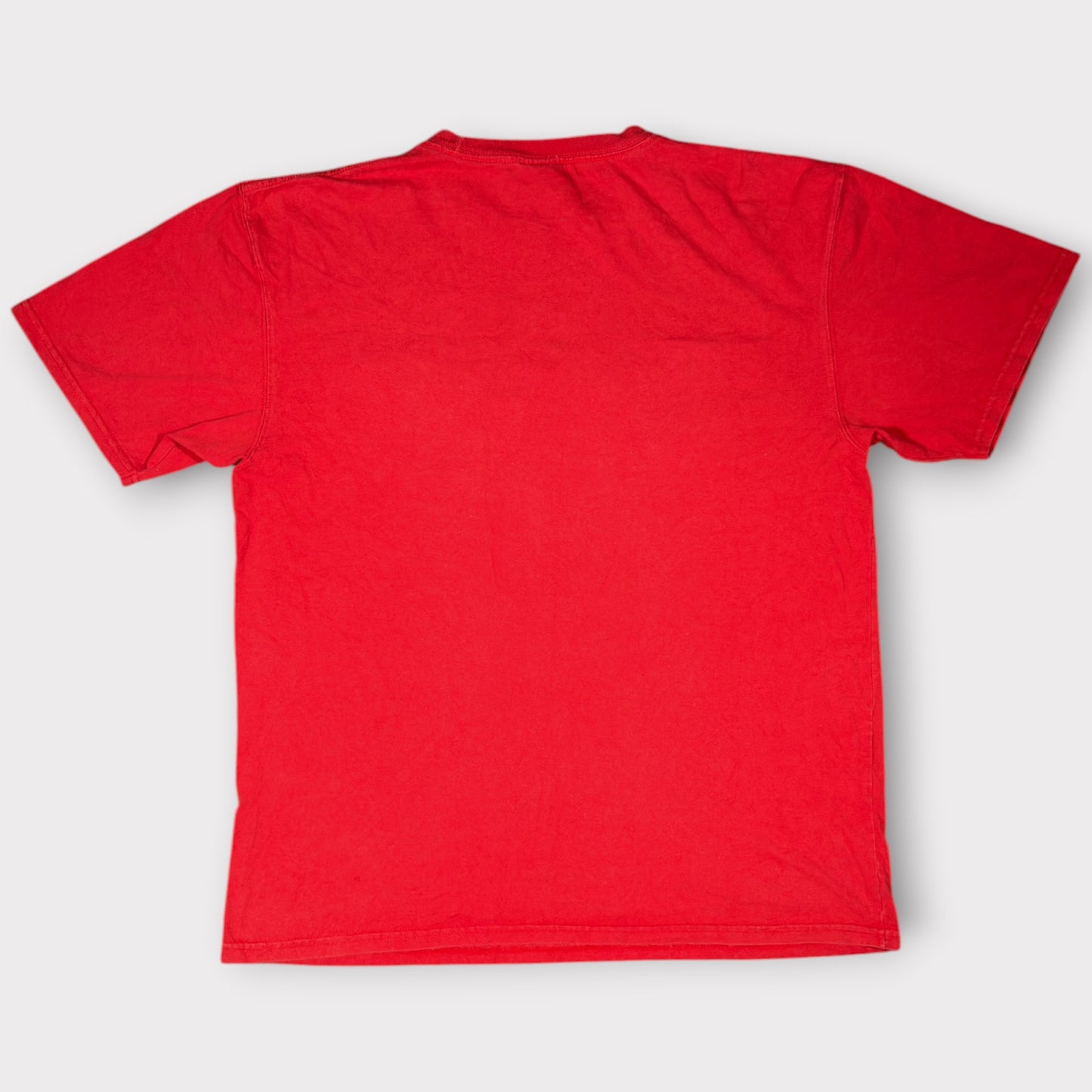 AVIREX | VINTAGE SPELLOUT LOGO GRAPHIC TEE IN RED (XL)