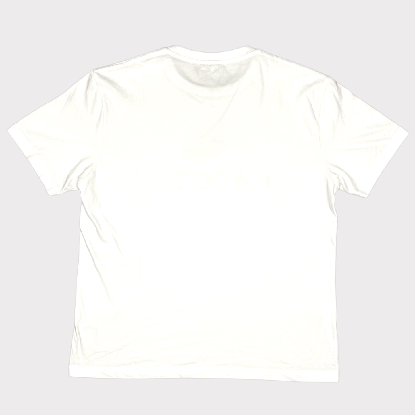 LACOSTE 2010s SPELLOUT T SHIRT (XL)