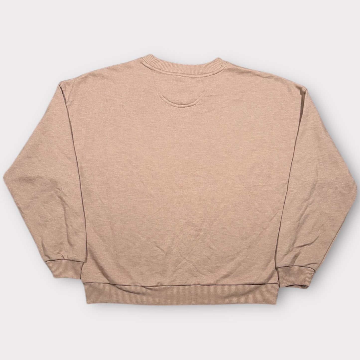 AMERICAN EAGLE TOADSTOOL SWEATSHIRT (M)