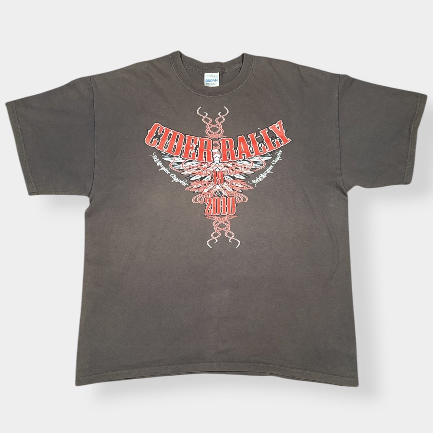 HARLEY DAVIDSON | 2010 GRAPHIC BIKER TEE (XL)