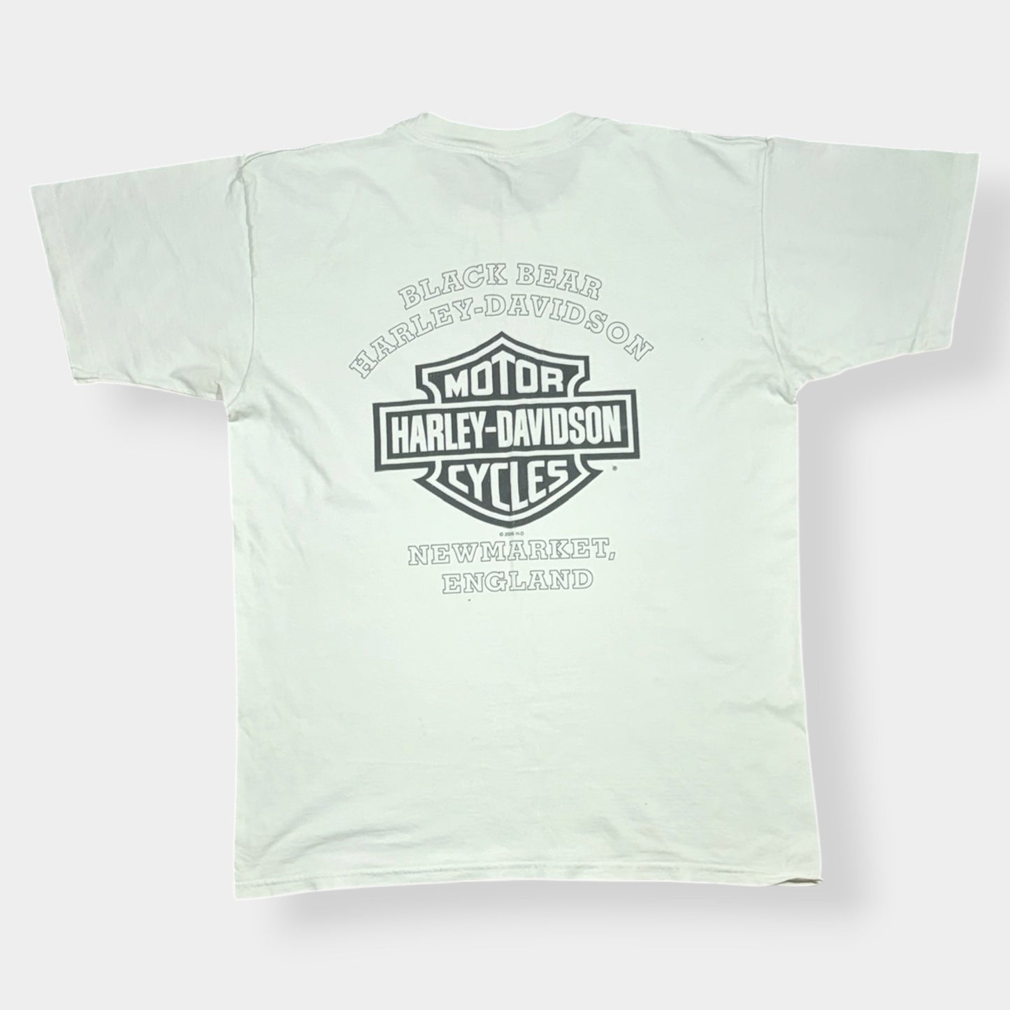 HARLEY DAVIDSON | 2003 VINTAGE GRAPHIC TEE (L)
