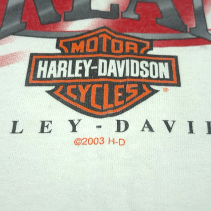 HARLEY DAVIDSON | 2003 VINTAGE GRAPHIC TEE (L)